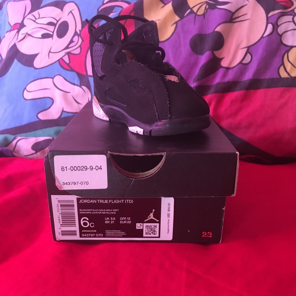 Jordan True Flight